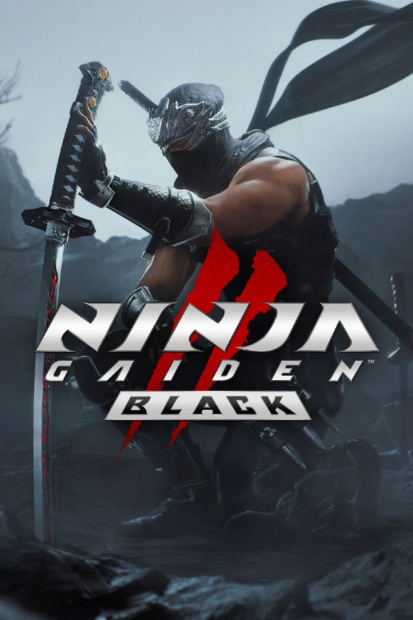 NINJA GAIDEN 2 BLACK