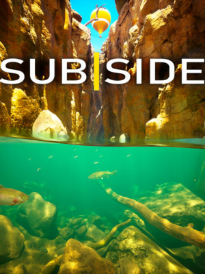SUBSIDE VR2