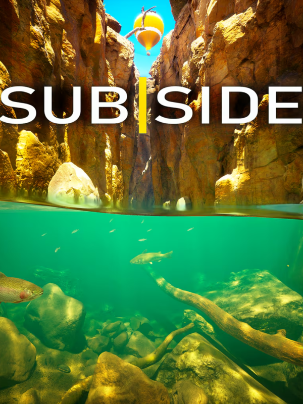GameCover-SBSD SUBSIDE VR2