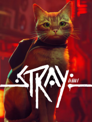 STRAY